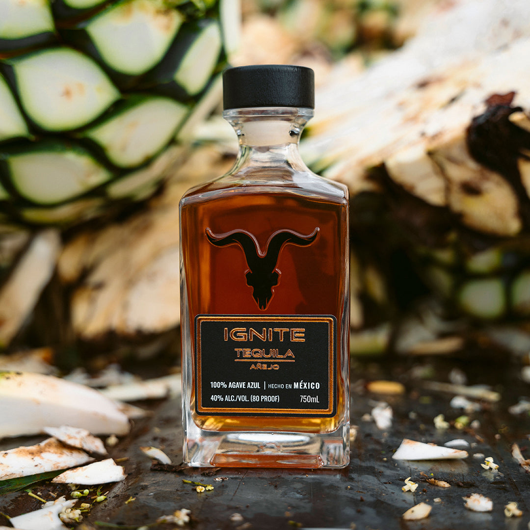IGNITE 10 ビリヤードキュー Ignite Tequila Añejo - IGNITE SPIRITS