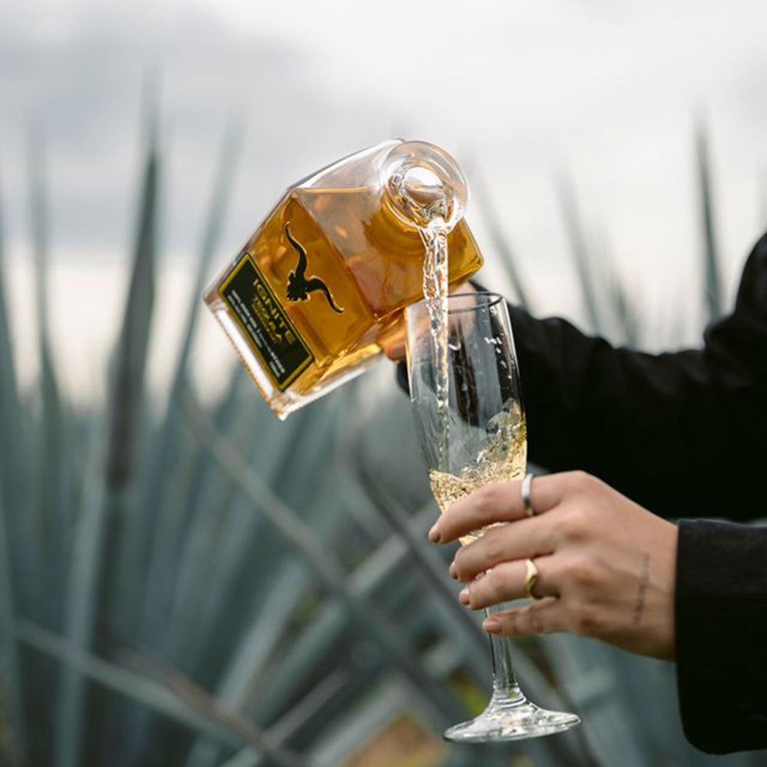 Ignite Tequila 3 Pack